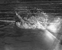 ５２年６月　ヘルシンキ五輪水上最終予選で力泳する古橋（手前）